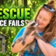 Tifton wildlife rescue fence fails nine animals
