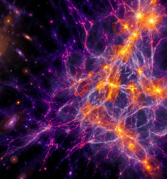 Nearby dwarf galaxies fossil iron from first stars