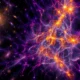 Nearby dwarf galaxies fossil iron from first stars