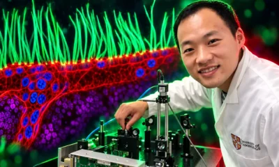 Nikon reopens Small World winner Ning Xu over AI