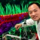 Nikon reopens Small World winner Ning Xu over AI