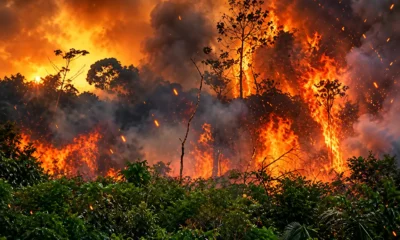 Super El Niño Amazon drought fire by 2027